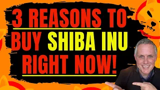 THREE REASONS TO BUY SHIBA INU COIN RIGHT NOW! AN HONEST OPINION FOR YOU...
