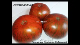 ХИТЫ 2021 ГОДА!!! Часть 2