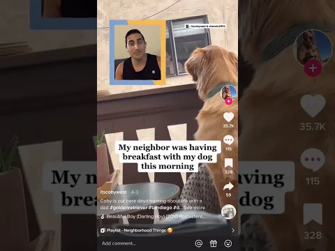 Golden Makes Friends With His Neighbor On The Opposite Balcony | The Dodo