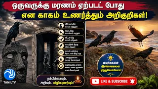 ஒருவருக்கு மரணம் ஏற்படப் போகிறது என காகம் உணர்த்தும் அறிகுறிகள்! | - Tamil TV