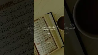 تلاوة خاشعة لـ الشيخ نورين محمد صديق رحمه الله ♥ #قرآن #quran #اكسبلور #نورين_محمد_صديق  #wadharan