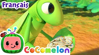 La cigale et la fourmi  | CoComelon en Français | Chansons pour bébés