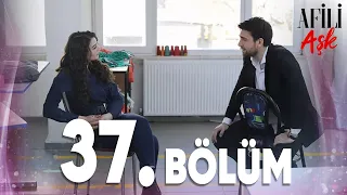 Afili Aşk 37.Bölüm - Full Bölüm