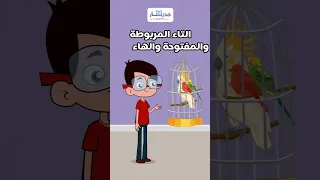 هل تعرف الفرق بين التاء المربوطة والمفتوحة والهاء؟