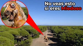 Un DRONE Captó a PERCHERON de la GRANJA DE ZENON en la Vida Real