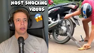 Most Shocking Videos Of Animals - Comments and Compilation