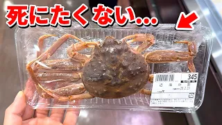 スーパーに売れ残っていた瀕死のカニを飼育してみると…