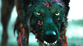 Dog's Power | Hindi Voice Over | Film Explained in Hindi/Urdu Summarized हिन्दी | Adventure