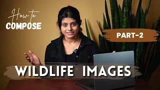 How to Compose Wildlife Photographs (PART 2) | Wildlife Photography Composition Rules for Beginners