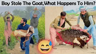 The Boy Stole The Goat, What Happens To Him? #comedy #funny #funnyvideo