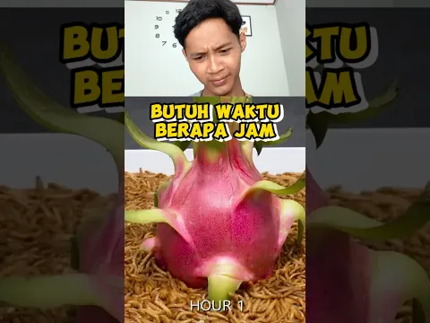 BUTUH BERAPA JAM ULAT INI MENGHABISKAN NAGA?