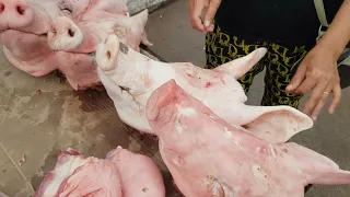 Pig Shave