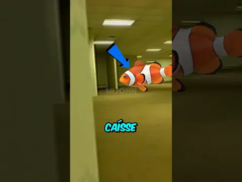 E SE UM PEIXE ENTRASSE NAS BACKROOMS