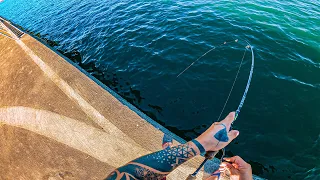 OLHA O TANTO DE PEIXE QUE MORA AQUI EM BAIXO - Pesca e Preparo