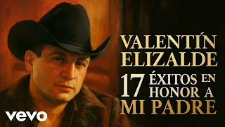 Valentín Elizalde - El Gallo De Oro (Audio)