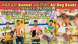 Cheapest Dog Pet Market In Patna 2022🔥| Home Delivery| Labrador, German Shepherd ,Rottweiler, Pug