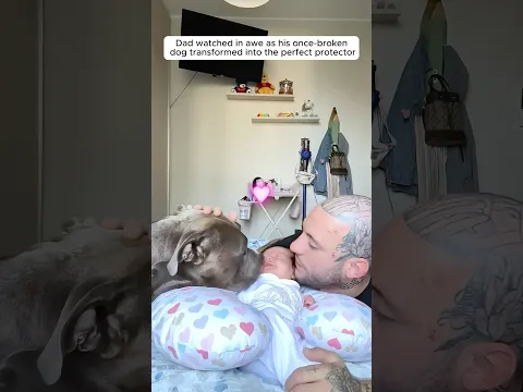 This dog instantly fell for the baby and became her big brother
