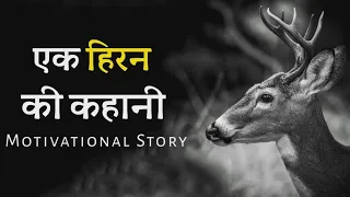हिरण की पतली टांगे || हिन्दी कहानी || hindi story video