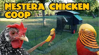 Check out my NEW Nestera chicken coop!