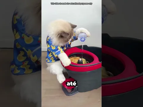 "😲 A sogra acabou indo embora, e depois o que aconteceu?"
