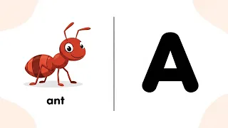 ABCD Song A To Z For Kids | Best US English Alphabet Phonics Music!