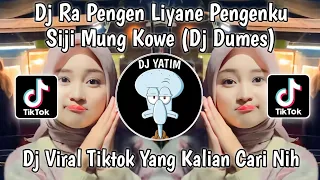 DJ RA PENGEN LIYANE PENGEN KU SIJI MUNG KOWE KENYATAAN E DUDU|DUMES BY PANI FVNKY VIRAL TIKTOK 2023