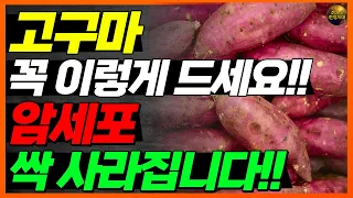 찐고구마, 군고구마 먹지 마세요!! 제발 이렇게 드세요!! 암덩어리까지 싹 사라집니다!!
