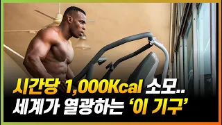 헬스장에 있는 '이 기구'로 걱정하던 체지방을 폭파시켰습니다 (feat. 스텝밀, 스텝퍼, 천국의계단)