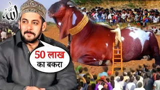 Salman Khan ka Qurbani ka Bakra 2024 I सलमान खान का कुर्बानी का बकरा I Bakra Eid 2024