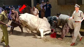 Musalman Qurbani Kyun Karte Hain | Hazrat Ibrahim As Ki Qurbani | Qurbani Ka Waqia | Bakra Eid