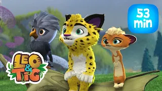 Leo & Tig - O despertar do dragão e mais episódios completos  | Desenho infantil 🐯🦁