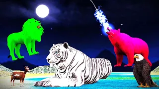 जादुई भालू और सफ़ेद शेर बना जंगल किंग , jadui bhalu aur white tiger.