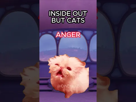 CAT MEMES 🐱 INSIDE OUT BUT CATS #cat #catlover #catvideos #insideout #shorts