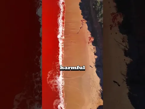 This water is DANGEROUS!