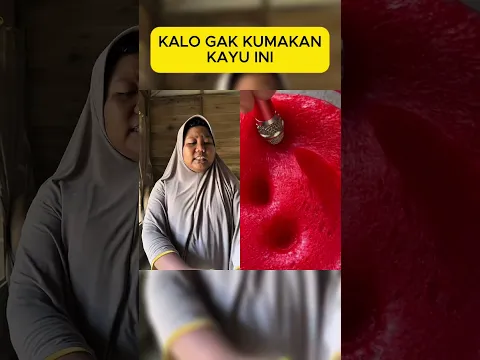 AKU GAK BIASA MAKAN KAYU, KU GIGIT MAMAK KU #asmr #fyp #shorts #shortvideo #satisfyling