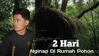 Membangun Rumah Pohon Dan Nginap 2 Hari Di Tengah Hutan.!