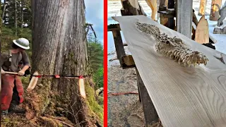 Cutting A Big Red Tree And Turning It Into A Luxury Table Using Only Chainsaw