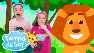 Voy en Busca de un León🔎🦁🎵 CANCIÓN ESTRENO - Dúo Tiempo de Sol