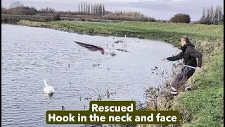 This female swan couldn't lift her head as the bill was hooked to its neck