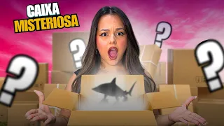 ABRI UMA CAIXA MISTERIOSA DE 500 REAIS! *valeu a pena?
