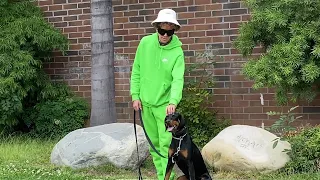 Dog Daddy VS Confused Out Of Control Doberman.