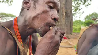 All Types Of Foods - Hadzabe Tribe Eats