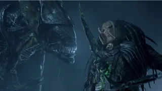 O DIA QUE OS XENOMORFOS JANTARAM OS PREDADORES!  RESUMO E ANALISE DE ALIEN VS PREDADOR