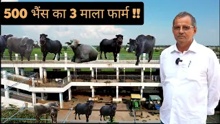 500 भैंस का 3 माला Dairy Farm || Multi Storey Dairy Farm || Hello Kisaan