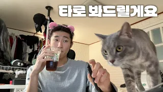 아, 고양이가 보는 건 아닙니다