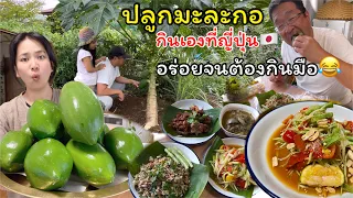 Ep.1289 ชีวิตแม่บ้านญี่ปุ่น ปลูกมะละกอกินเอง เก็บมาทำส้มตำให้พ่อแว่น อร่อยจนต้องเปิบด้วยมือ