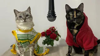 LULA E BOLSONARO CANTANDO CUPID