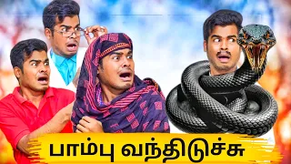 ஐயயோ! பாம்பு அப்பா மேல ஏறிடிச்சி😂😂