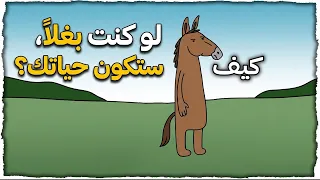 لو كنتَ بغلاً،فهكذا ستكون حياتك؟