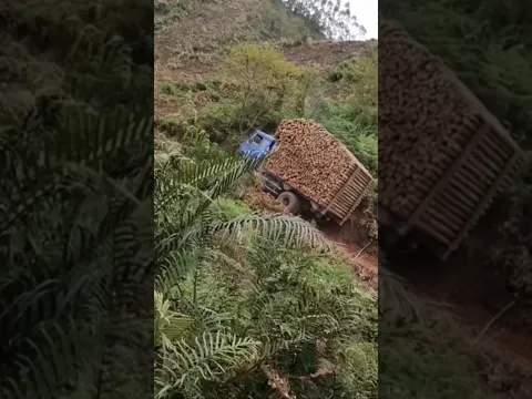 This truck driver is facing some problems. #truck #wood
